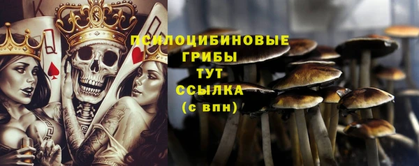 хмурый Армянск