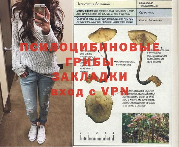 jwh Аркадак