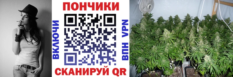 Марихуана семена  Купить закладки  Одинцово 
